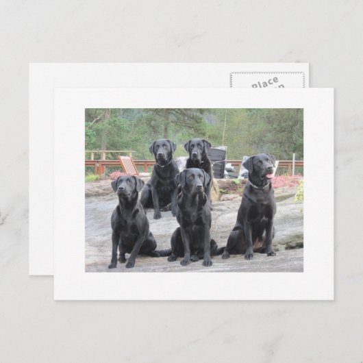 Arbeidskrachten in Noorwegen Briefkaart (Voorkant / Achterkant)