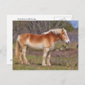 Arbeidspaard in heuvelland briefkaart (Voorkant / Achterkant)