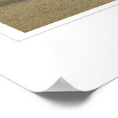 Arbol de Piedra (De Rock Tree) Poster (Hoek)