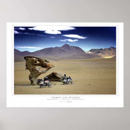 Arbol de Piedra (De Rock Tree) Poster (Voorkant)