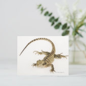 Arboreale agamidesoorten in het oostelijke deel va briefkaart (Staand voorkant)