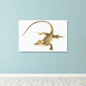 Arboreale agamidesoorten in het oostelijke deel va canvas afdruk (Insitu (Houten vloer))