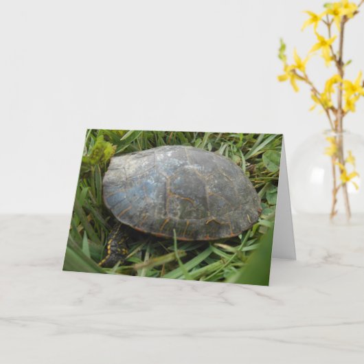 “Arboretum Painted Turtle” Verjaardagskaart Kaart (Gele Bloem)