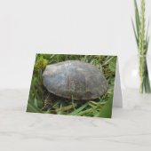"Arboretum Painted Turtle" Wenskaart voor een spoe Kaart (Voorkant)