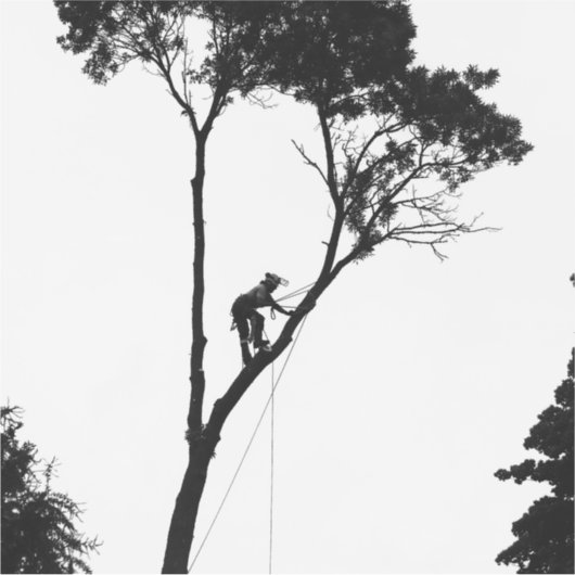 Arborist op het werk sticker (Voorkant)