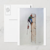 Arborist Tree Surgeon Briefkaart (Voorkant / Achterkant)