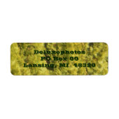 Arborvitae Evergreen Trees Etiket (Voorkant)