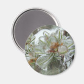 Arborvitae Tips in Ice Magneet (Voorkant / Achterkant)