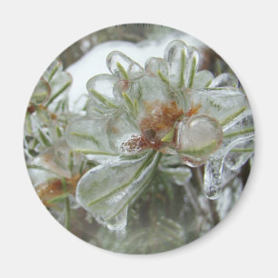 Arborvitae Tips in Ice Magneet