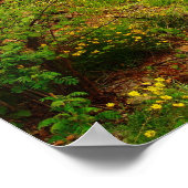 Arbuckles na brand poster (Hoek)