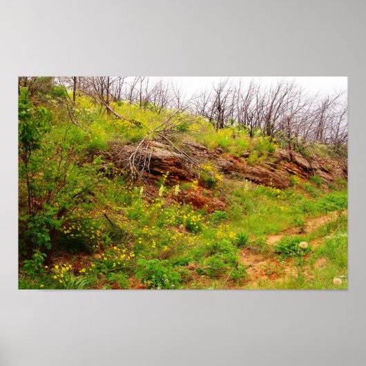 Arbuckles na brand poster (Voorkant)