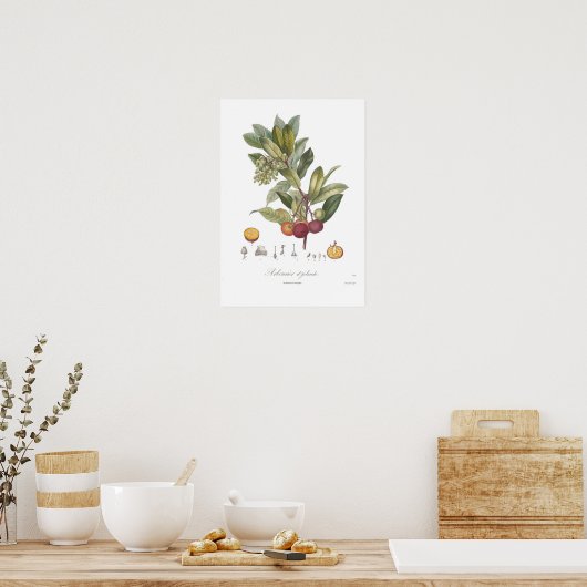 Arbutus unedo-Stawberry-boom Poster (Keuken)