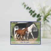 Arc Bars Miss en Bel's Starlet Briefkaart (Staand voorkant)