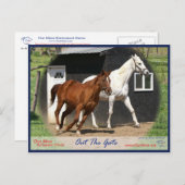 Arc Bars Miss en Bel's Starlet Briefkaart (Voorkant / Achterkant)