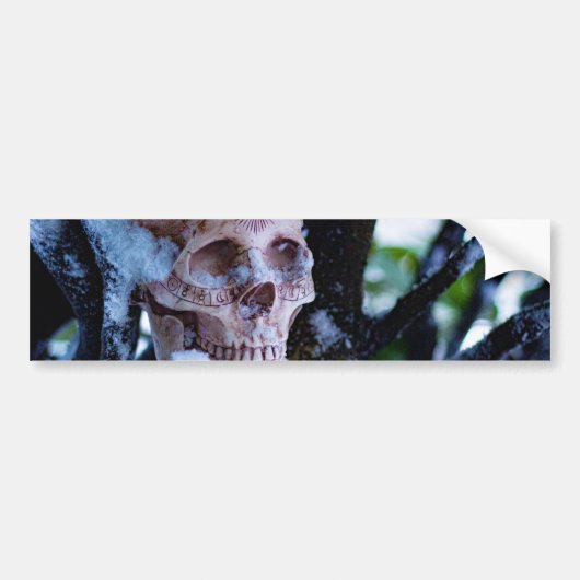 Arcane Winter I Bumpersticker (Voorkant)