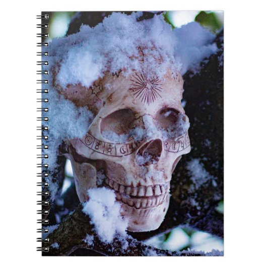 Arcane Winter I Notitieboek (Voorkant)