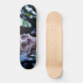 Arcane Winter I Persoonlijk Skateboard (Voorkant)