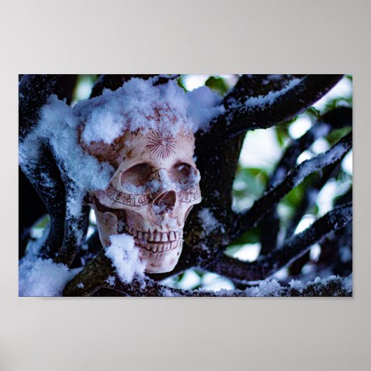Arcane Winter I Poster (Voorkant)