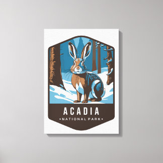 ARCDIA NATIONAL PARK Stretched Canvas Print