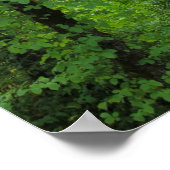 "Arch", Alder Tree Forest Poster (Hoek)