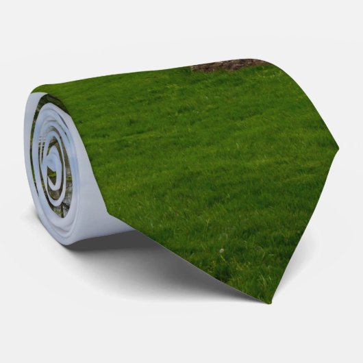 Arch from the Park Stropdas (Opgerold)