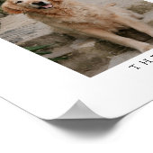 Arch Pet Foto Handtekening Drink Trouwbar Teken Poster (Hoek)