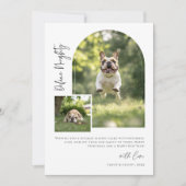 Arch Photo Definieer Naughty Funny Dog Kerstmis Feestdagenkaart (Voorkant)