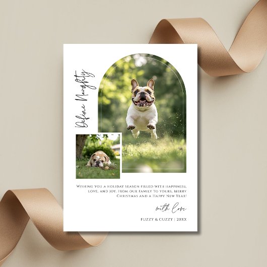 Arch Photo Definieer Naughty Funny Dog Kerstmis Feestdagenkaart