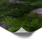 Arch Rock Mackinac Island Poster (Hoek)