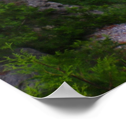 Arch Rock Mackinac Island Poster (Hoek)