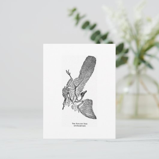 Archaeopteryx briefkaart (Staand voorkant)