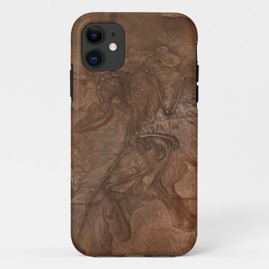 Archaeopteryx fossiel - Casemate Case-Mate iPhone Case (Achterkant)
