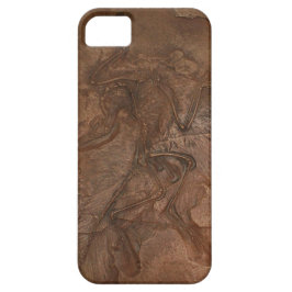 Archaeopteryx fossiel - Casemate Case-Mate iPhone Case