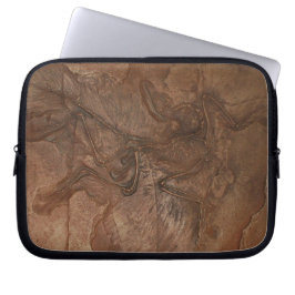 Archaeopteryx fossiel - Laptophoes Laptop Sleeve