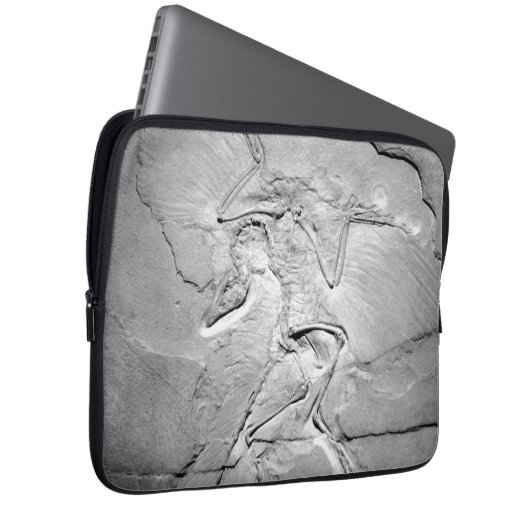 Archaeopteryx fossiel neopreen laptophoes van 13 i laptop sleeve (Voorkant Rechts)