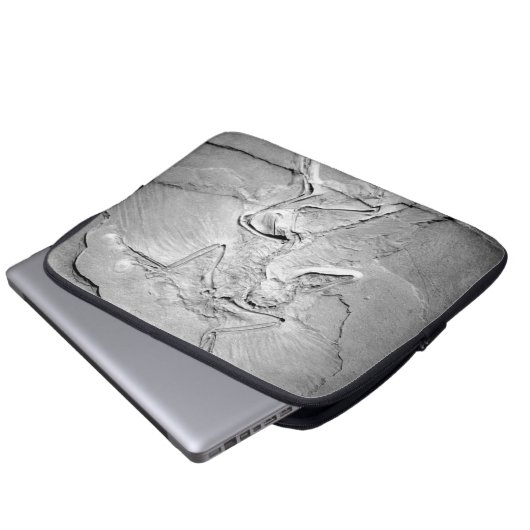 Archaeopteryx fossiel neopreen laptophoes van 13 i laptop sleeve (Voorkant onderkant)