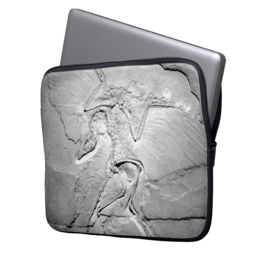 Archaeopteryx fossiel neopreen laptophoes van 13 i laptop sleeve (Voorkant Links)