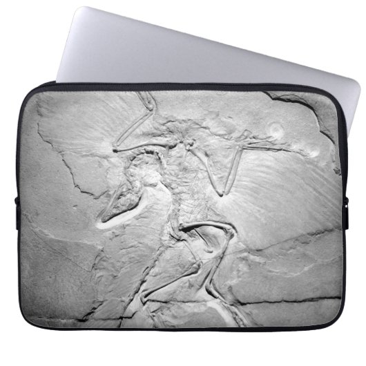 Archaeopteryx fossiel neopreen laptophoes van 13 i laptop sleeve (Voorkant)