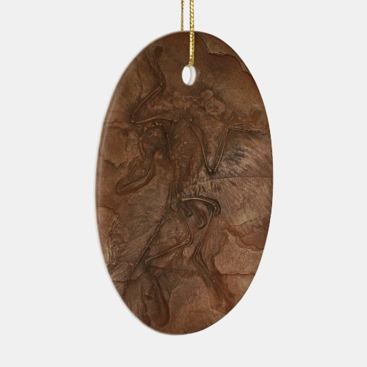 Archaeopteryx fossiel - Ornament (Rechts)