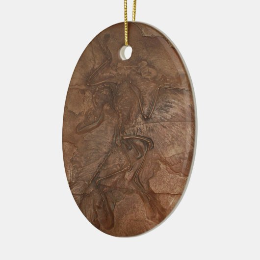 Archaeopteryx fossiel - Ornament (Links)