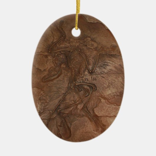 Archaeopteryx fossiel - Ornament (Voorkant)