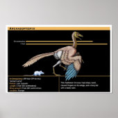 Archaeopteryx - Jurassic Dinosaur Biology Poster (Voorkant)