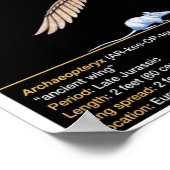 Archaeopteryx - Jurassische Dinosaurbiologie Poster (Hoek)