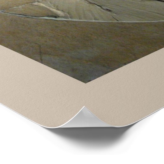 Archaeopteryx Poster (Hoek)