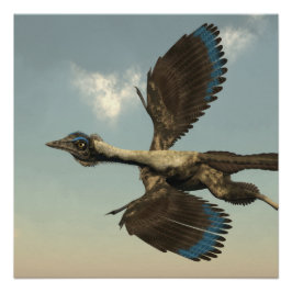 Archaeopteryx vogeldinosaurussen die vliegen - 3D  Poster