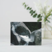 ARCHAISCHE TORSO VAN APOLLO BRIEFKAART (Staand voorkant)