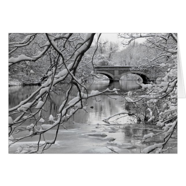 Archbrug over de Bevroren rivier in de winter (Voorkant Horizontaal)
