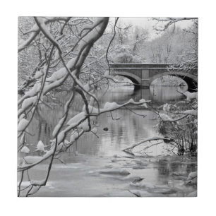 Archbrug over de Bevroren rivier in de winter Tegeltje