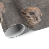 Archeologie II - Schedel op steen-effect achtergro Cadeaupapier (Rol Hoek)