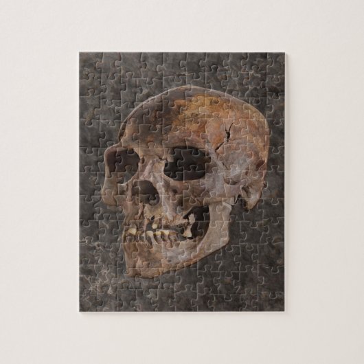 Archeologie II - Schedel op steen-effect achtergro Legpuzzel (Verticaal)